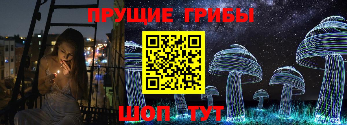 Галлюциногенные грибы Cubensis Мурино