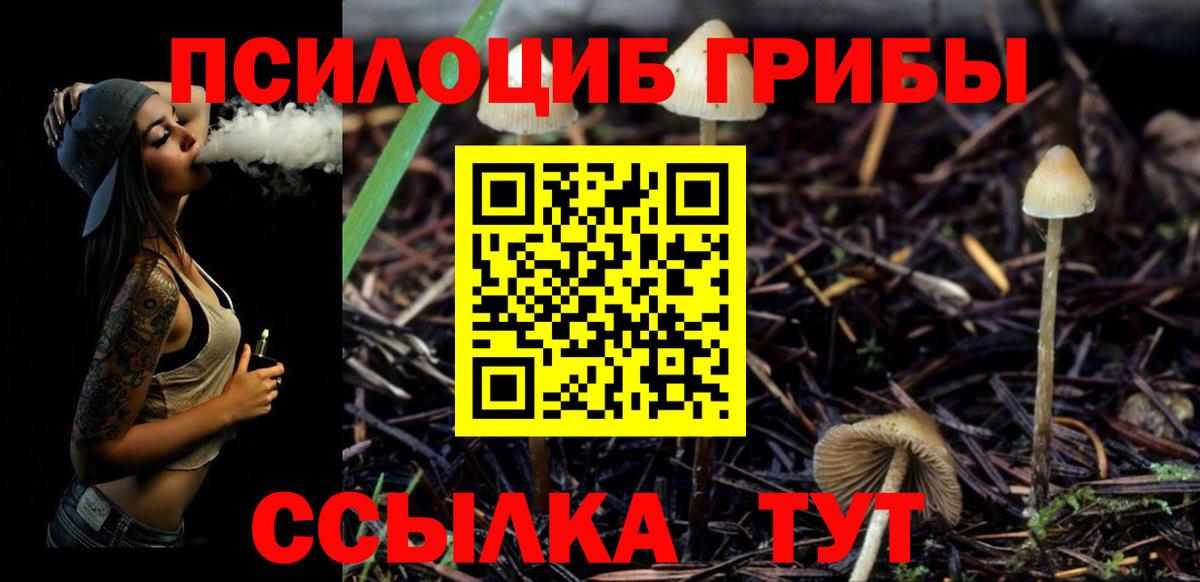 Галлюциногенные грибы MAGIC MUSHROOMS  Вход с VPN  Мурино 